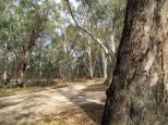 Twin Rivers Campground - Deniliquin:  The track that takes you into the Twin Waters campground. 