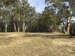 Twin Rivers Campground - Deniliquin: Plenty of room  particularly for tents and small campervans.