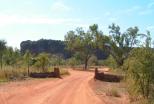 Kimberley Entrance Caravan Park - Derby: A must see location down the Gibb River road about 8ok out is the great Windjanan Gorge with spectacular towering cliffs of an old once flodded Reef the sheer size is most impressive. Tours are available from town.