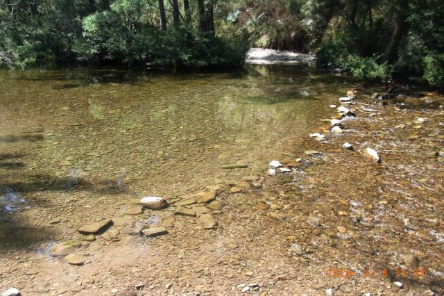 Bendethra Camp Site - Deua National Park: easy river crossings
