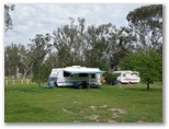 Dimboola Caravan Park - Dimboola: Powered sites for caravans