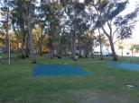 BIG4 Koala Shores Port Stephens Holiday Park - Lemon Tree Passage: Green matting on some sites