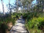 BIG4 Koala Shores Port Stephens Holiday Park - Lemon Tree Passage: Walk from the caravan park
