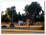 Dunedoo Caravan Park - Dunedoo: Powered sites for caravans