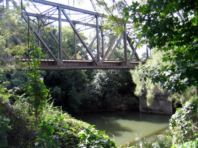 Dungog Caravan Park - Dungog: Railway bridge adjacent to the park