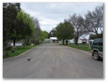 Dunolly Caravan Park - Dunolly: Good paved roads throughout the park