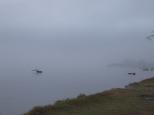 Marlay Point Foreshore Reserve - Clydebank: Foggy start to the day