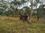 Ebor Sport & Recreation Area - Ebor: Walk down to the drop toilet from the campground. 