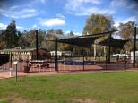 Echuca Holiday Park - Echuca: Swimming pool (duck pond)