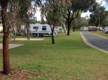 Echuca Holiday Park - Echuca: Grassy powered sites with good roads