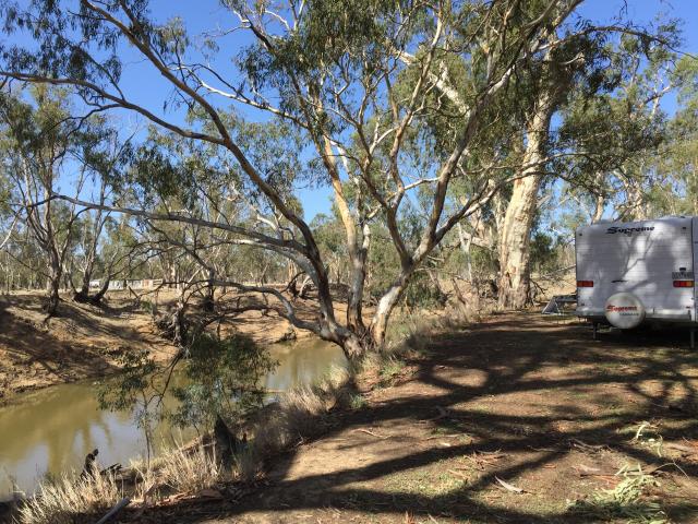 Rotary Park Free Camping - Echuca: River side campsites.
