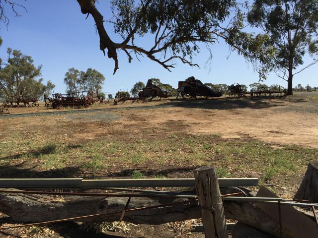 Rotary Park Free Camping - Echuca: Lots of historic farm relics around the park