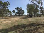Rotary Park Free Camping - Echuca: Plenty of room for caravans, campervans and big rigs and RVs of all shapes and sizes. They must be self contained.