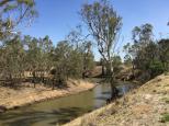 Rotary Park Free Camping - Echuca: Views of the river.