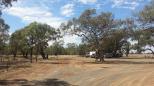 Wharparilla Flora Reserve Rest Area - Echuca: Plenty of room for vehicles of all shapes and sizes including big rigs.
