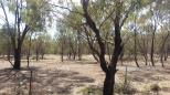Wharparilla Flora Reserve Rest Area - Echuca: Pleasant views from the rest area.  Relax with a view of the countryside.
