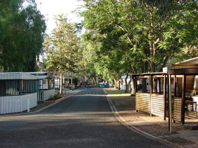 Yarraby Holiday Park - Echuca: General view of the park showing sealed roads