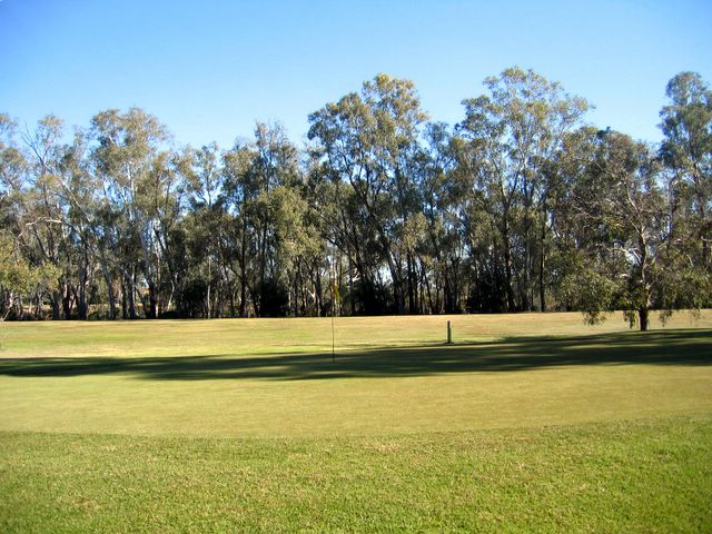 Echuca YMCA Golf Course - Echuca: Green on Hole 3