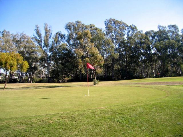 Echuca YMCA Golf Course - Echuca: Green on Hole 8