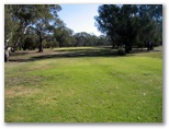 Echuca YMCA Golf Course - Echuca: Fairway view Hole 3