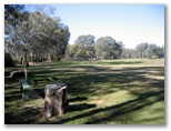 Echuca YMCA Golf Course - Echuca: Fairway view Hole 6