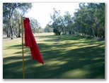 Echuca YMCA Golf Course - Echuca: Green on Hole 7 looking back along fairway