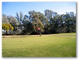 Echuca YMCA Golf Course - Echuca: Green on Hole 8