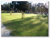 Eden Valley Caravan Park - Eden Valley: Powered sites for caravans showing newly planted trees.