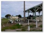 Edithburgh Caravan Park and Tourist Park - Edithburg: Camp kitchen and BBQ area with watchful pelicans