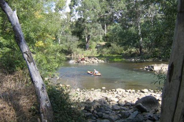 Bluegums Holiday Park - Eildon: Kayaking in the Goulburn River