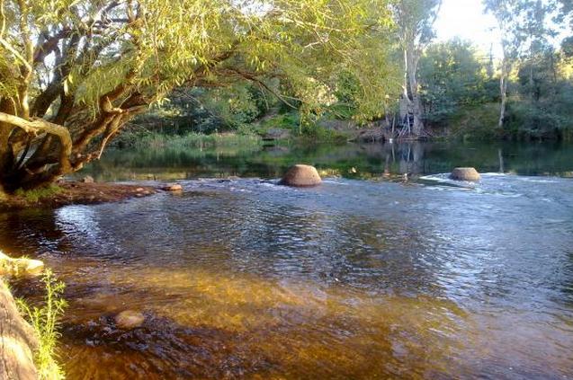 Bluegums Holiday Park - Eildon: The Goulburn River