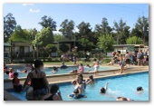 Bluegums Holiday Park - Eildon: Swimming pool
