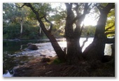 Bluegums Holiday Park - Eildon: The beautiful Goulburn River