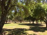 Eildon Pondage Holiday Park - Eildon: Area for tents and camping.