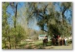 Gemstone Caravan Park - Eldorado: Horse riding is great fun