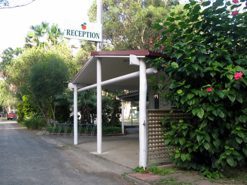 Pacific Palms Caravan Park - Elizabeth Beach: Reception and office