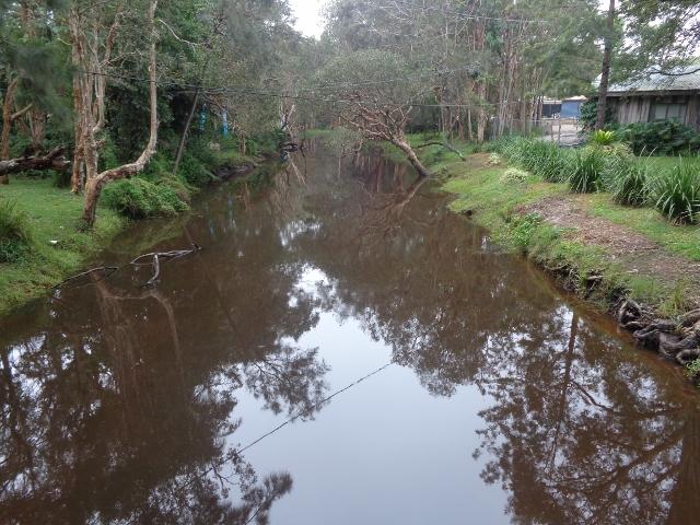 Emerald Beach Holiday Park - Emerald Beach: Creek looking the other way