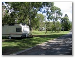 Emerald Beach Holiday Park - Emerald Beach: Lots of shady open spaces
