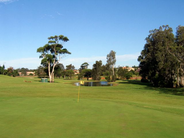 Emerald Downs Golf Course - Port Macquarie: Green on Hole 9