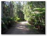 Emerald Downs Golf Course - Port Macquarie: Pathway to Hole 6 through natural bushland