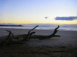 Bell Park Caravan Park - Emu Park: Driftwood at the entrance to the Park and islands of the evening