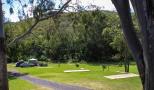 Esk Caravan Park - Esk: Bottom powered sites overlooking the campground and creek area.
