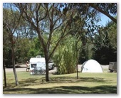 Pine Grove Holiday Park - Esperance: Area for tents and camping