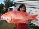 Flying Fish Point Caravan Park - Flying Fish Point: Great fishing in the area!