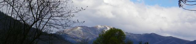 Freeburgh Cabins and Caravan Park - Freeburgh: View of Mt Feathertop from the park