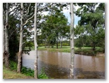 Gainsborough Greens Golf Course - Pimpama: Lots of delightful creeks runs through the course