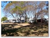 Goldfields Caravan Park - Georgetown: Shady powered sites for caravans