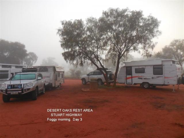 Desert Oaks Rest Area - Ghan: Foggy morning early June
