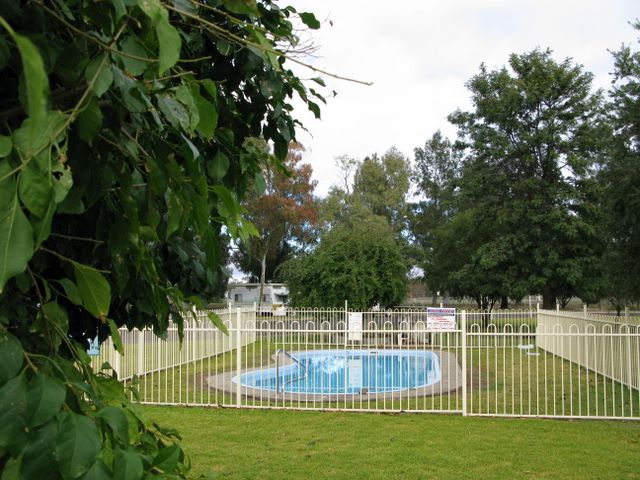 Gilgandra Caravan Park - Gilgandra: Swimming pool