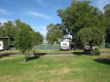 Barneys Caravan Park - Gilgandra: Powered sites for caravans 